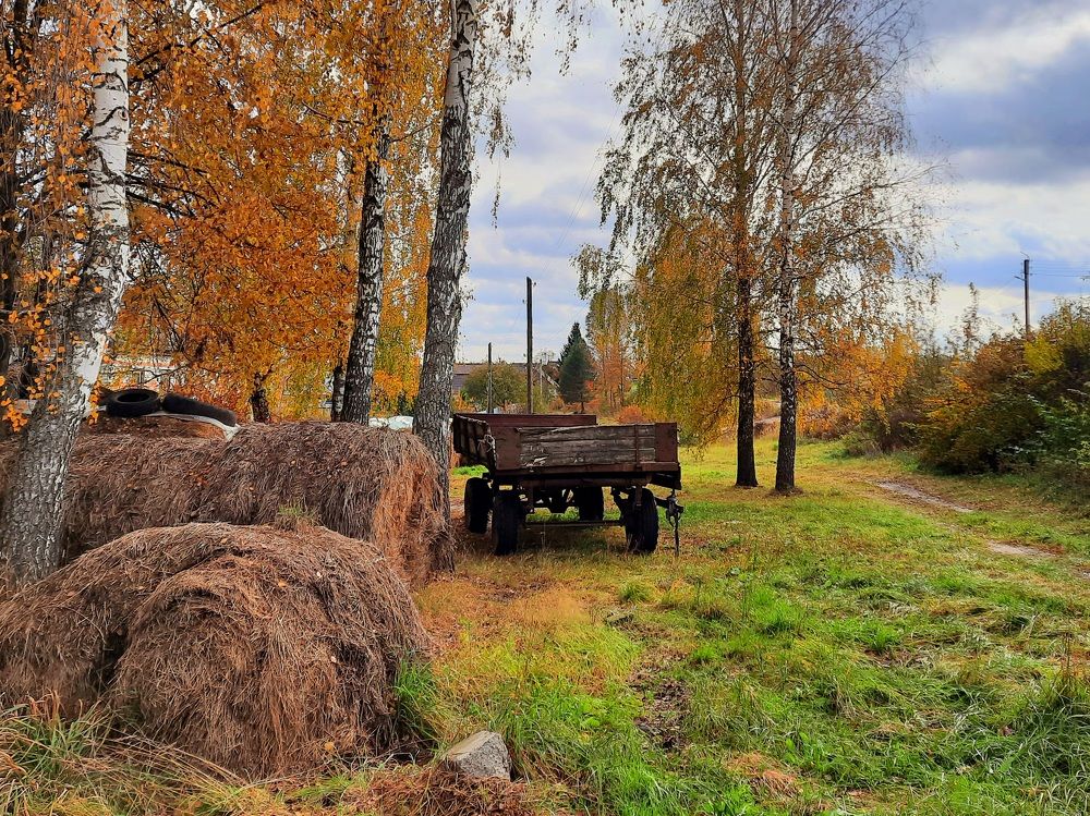 Photograph by Елена Симонова