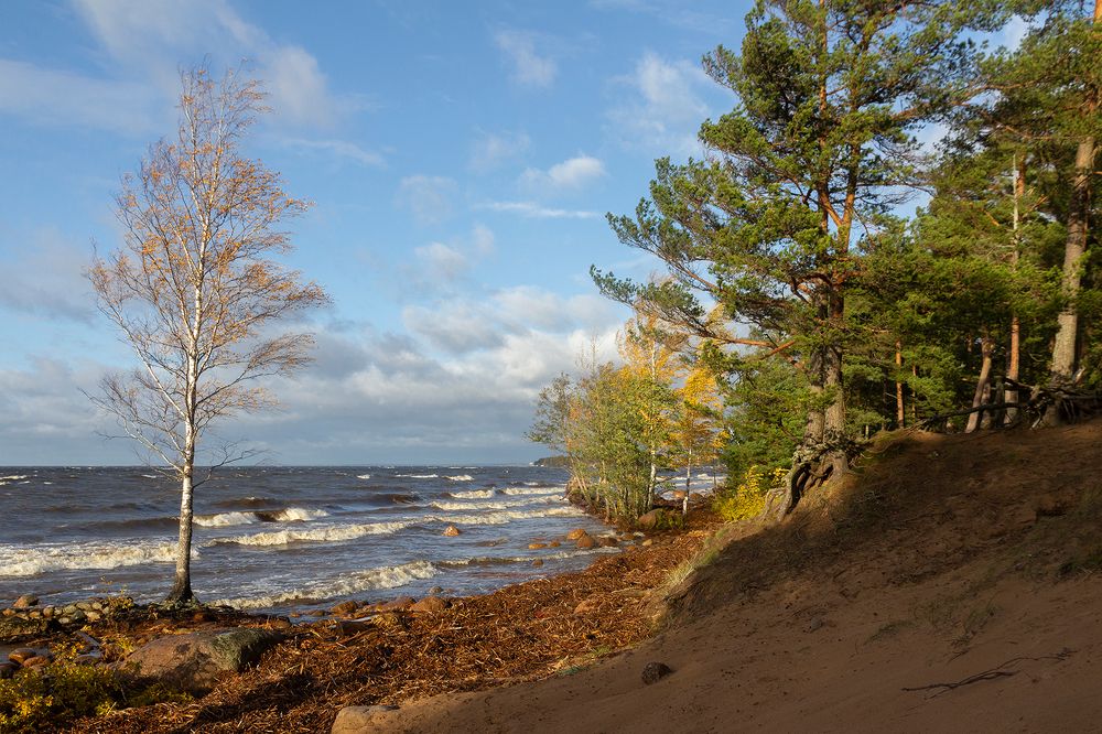 Photograph by Светлана Воробьёва