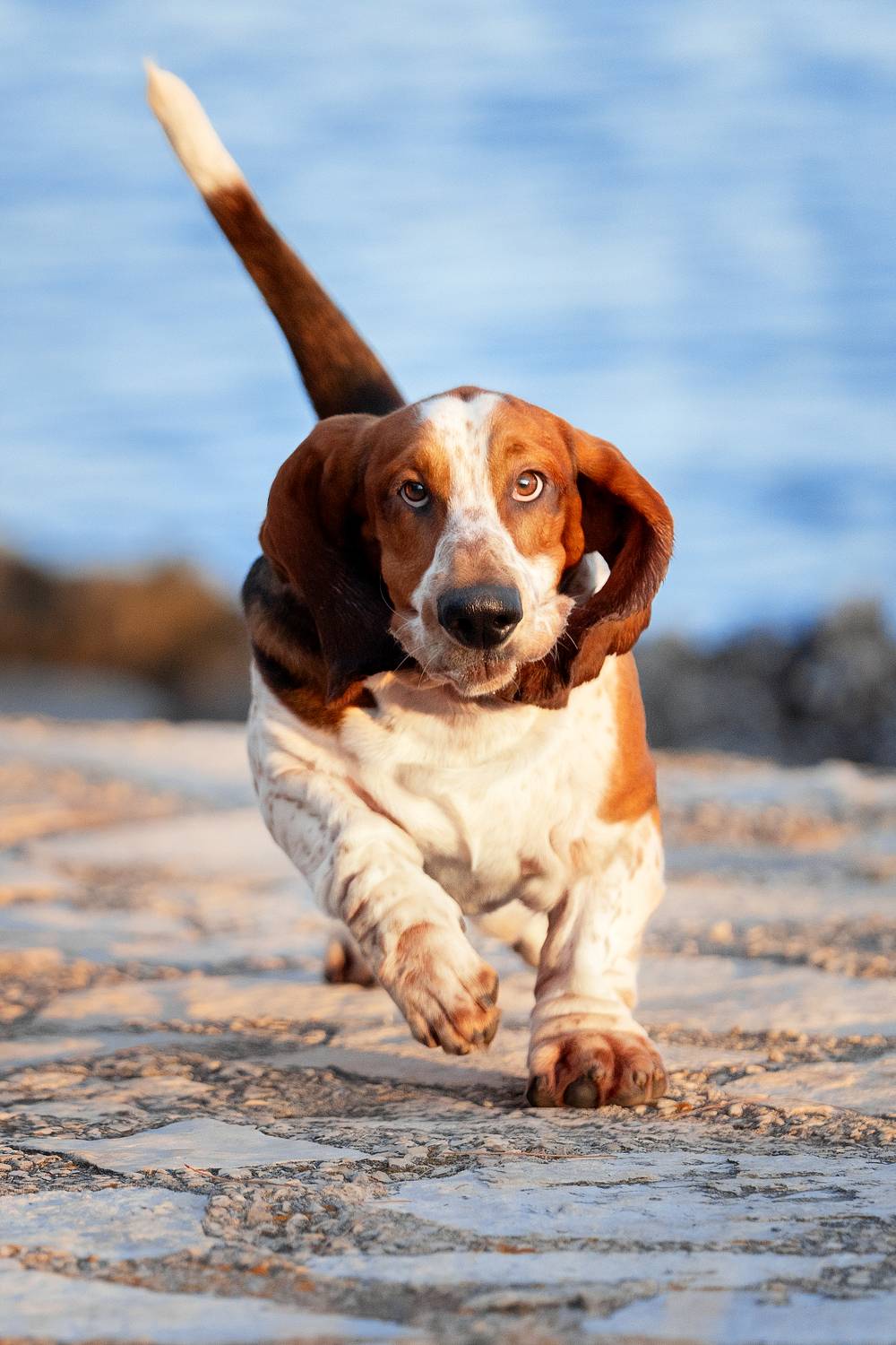 Фотография #9711121