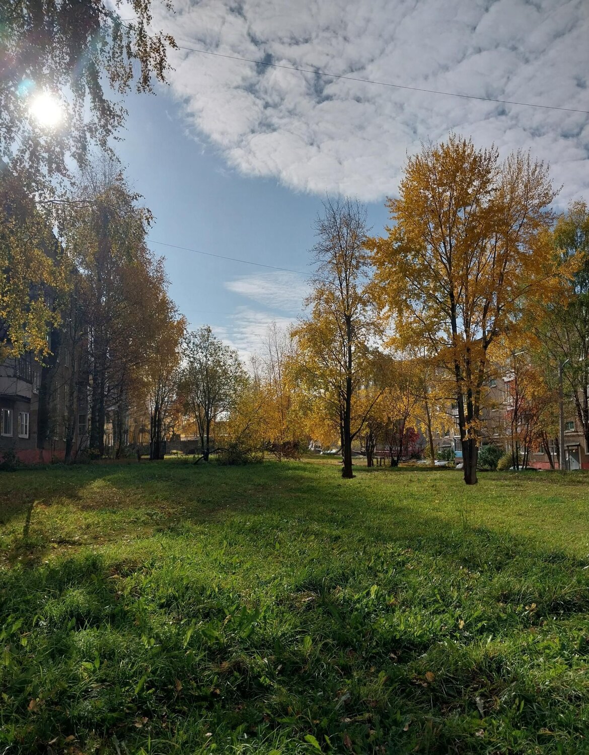 Photo #9711145