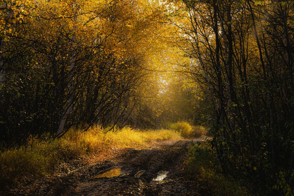 Photograph by Сидоров Антон