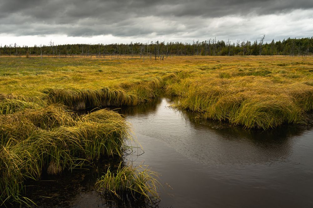 Photograph by Сидоров Антон