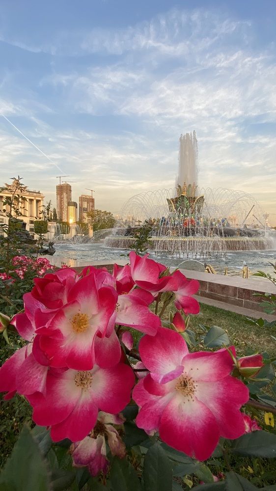 Photograph by Светлана Фесенко