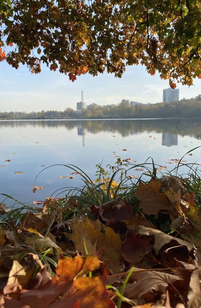 Photograph by Светлана Фесенко