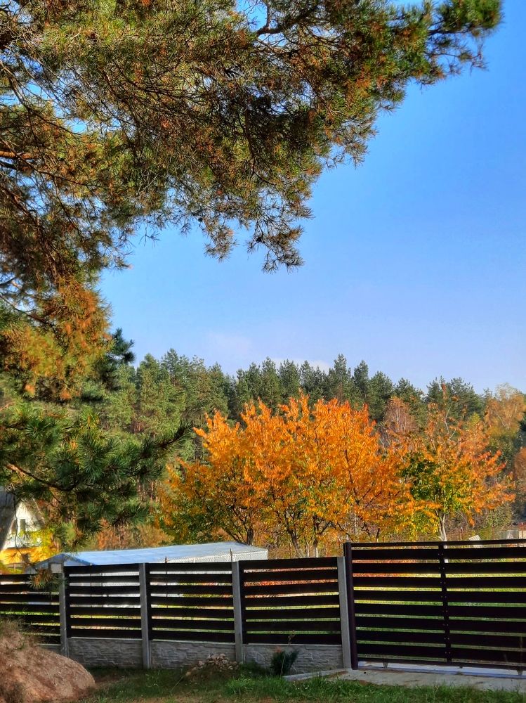 Photograph by Ириша Гайдель