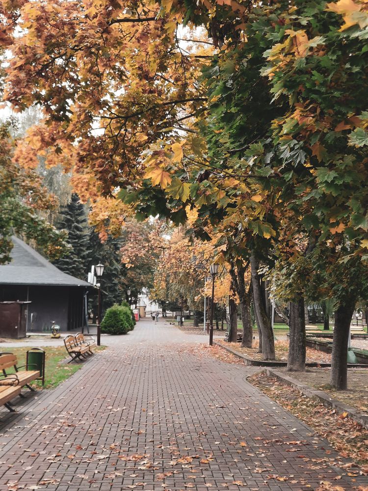 Photograph by Ириша Гайдель