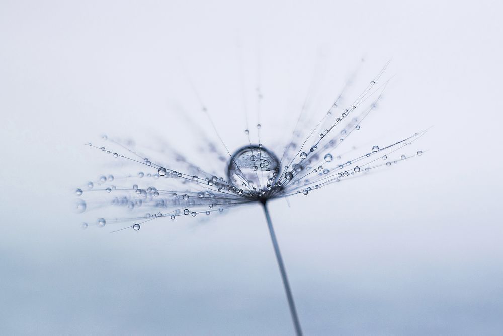 Photograph by Сальников Евгений