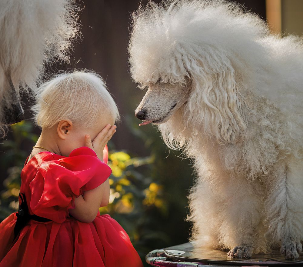 Photograph by Мария Фларт