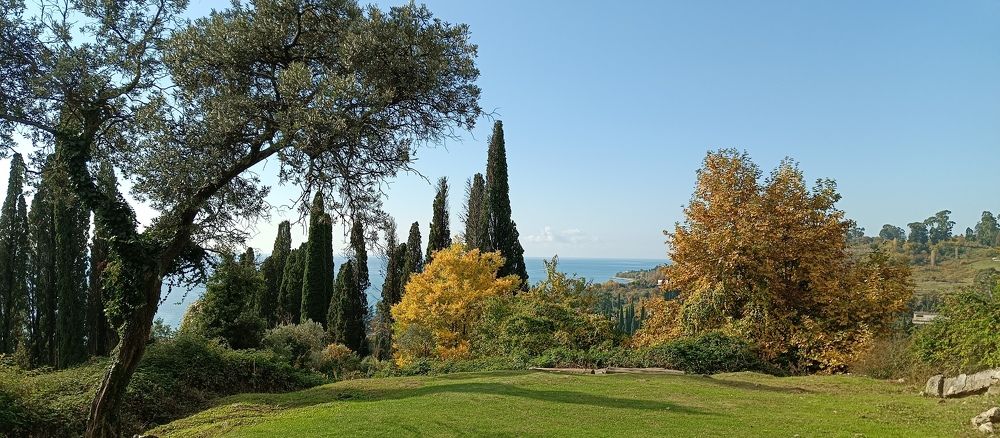 Photograph by Елена Маликова