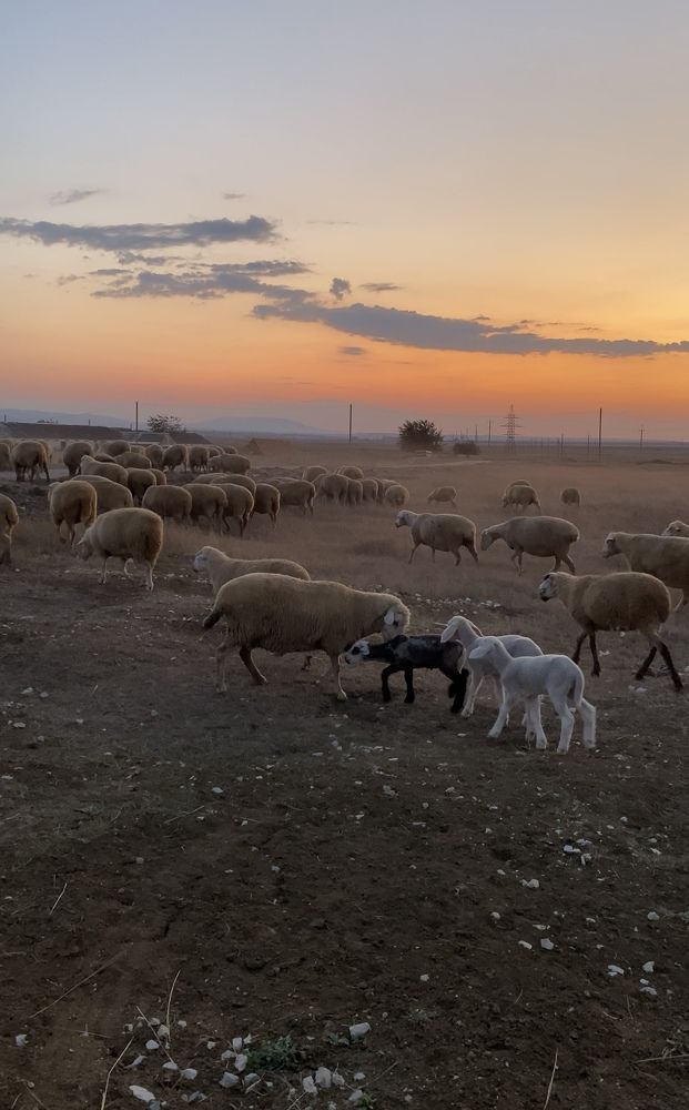 Photograph by Светлана Фесенко