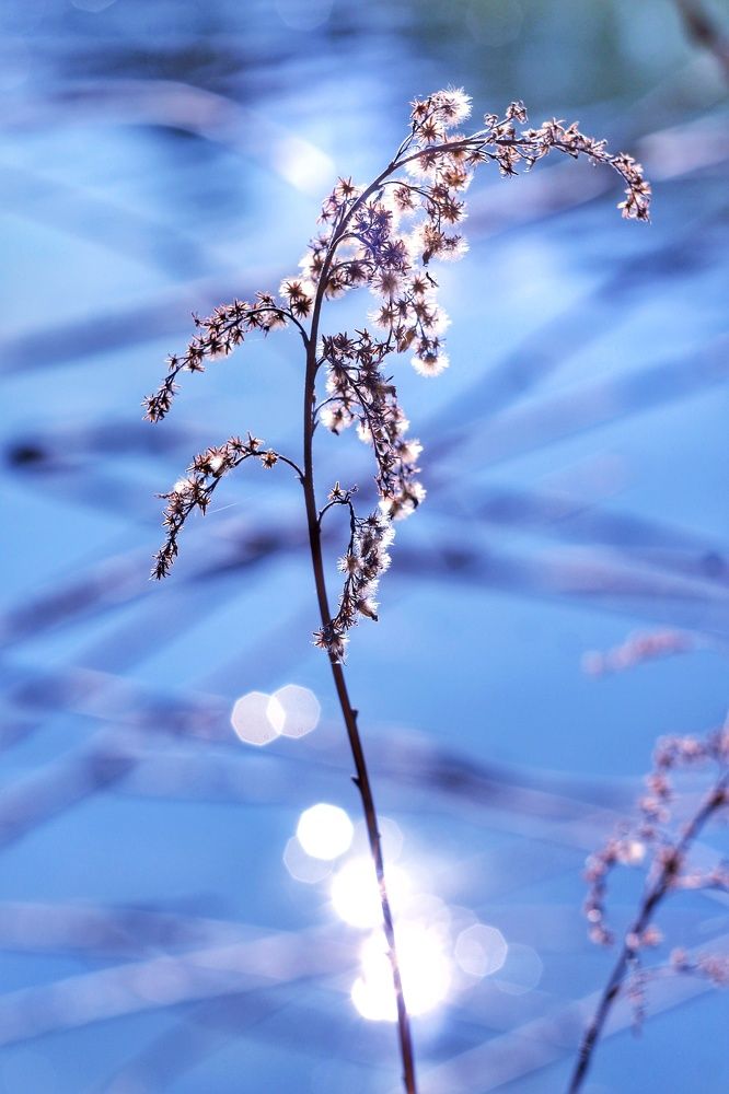 Photograph by Ирина Регинская