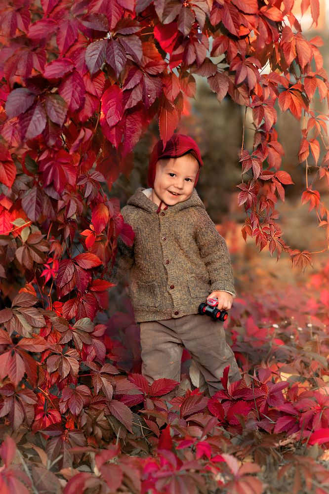 Photograph by Светлана Воронкова