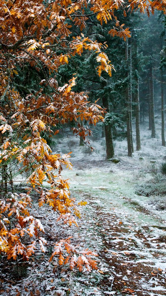 Photograph by Jose Pinto