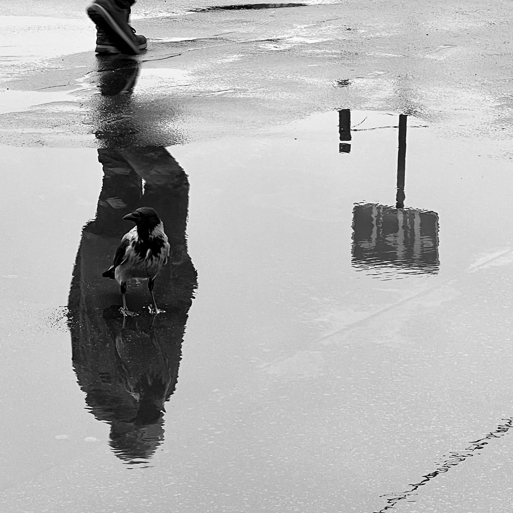 Photograph by Олег Банковский