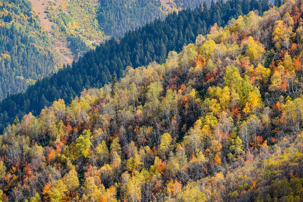 Photograph by Сергей Шварцман