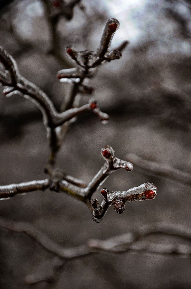 Photograph by Мария Зыкова