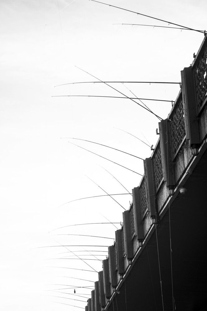 Photograph by Никита Касторный