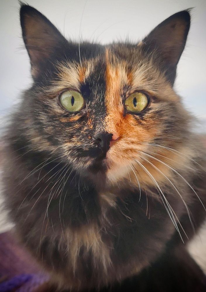 Photograph by Владимир Кривенко