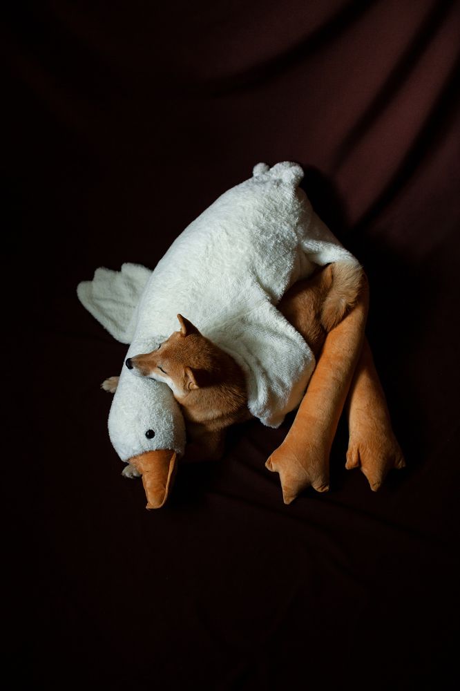 Photograph by Наталья Парфенова