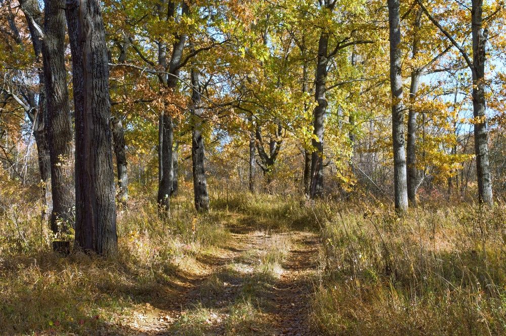 Photograph by Николай Путинцев