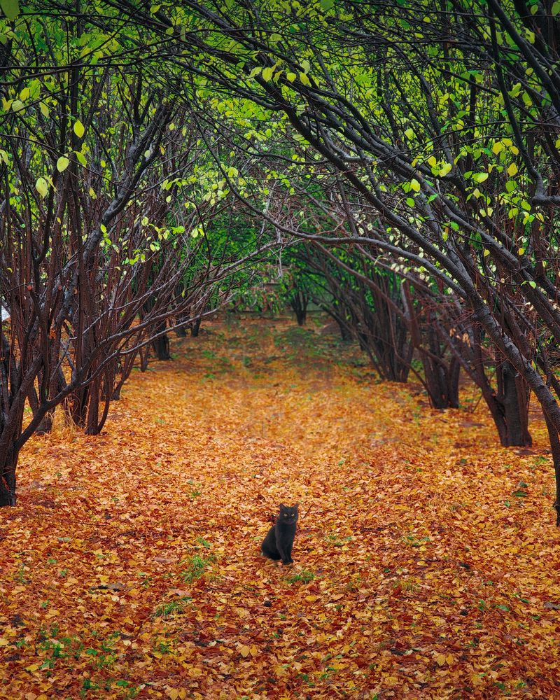 Photograph by Alireza Moghimi