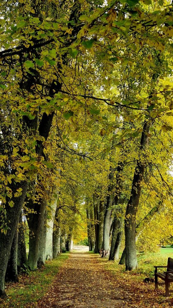 Photograph by Elena Tamošauskaite