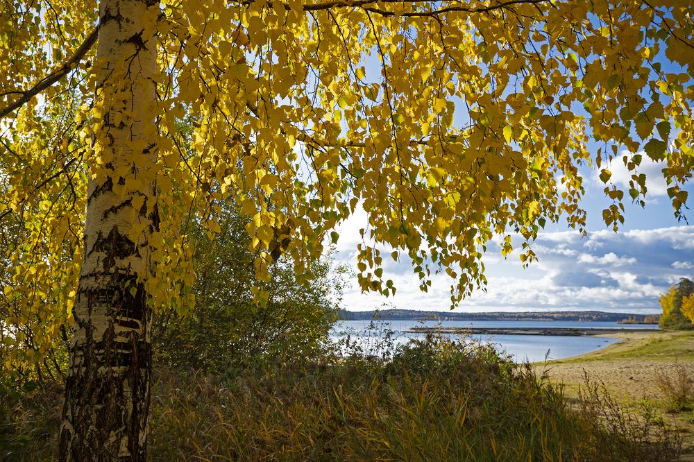 Photograph by Николай Ларионов