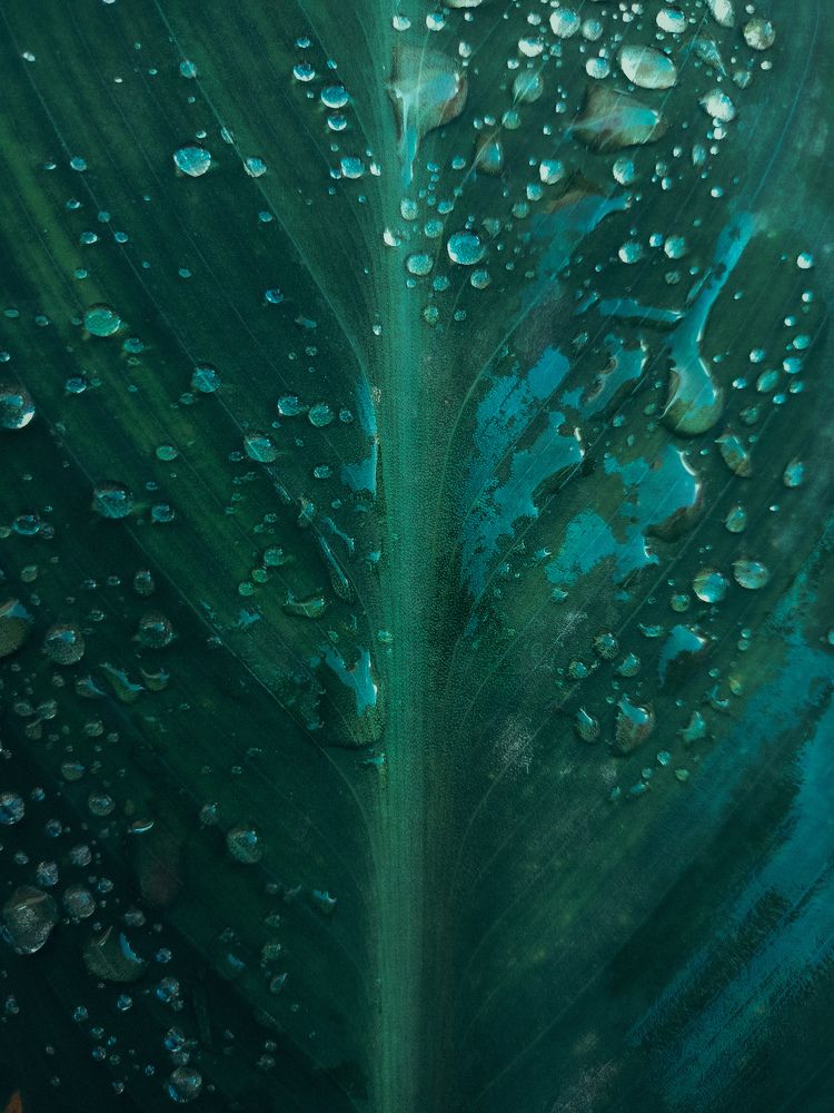 Фотография автора Татьяна Шахова