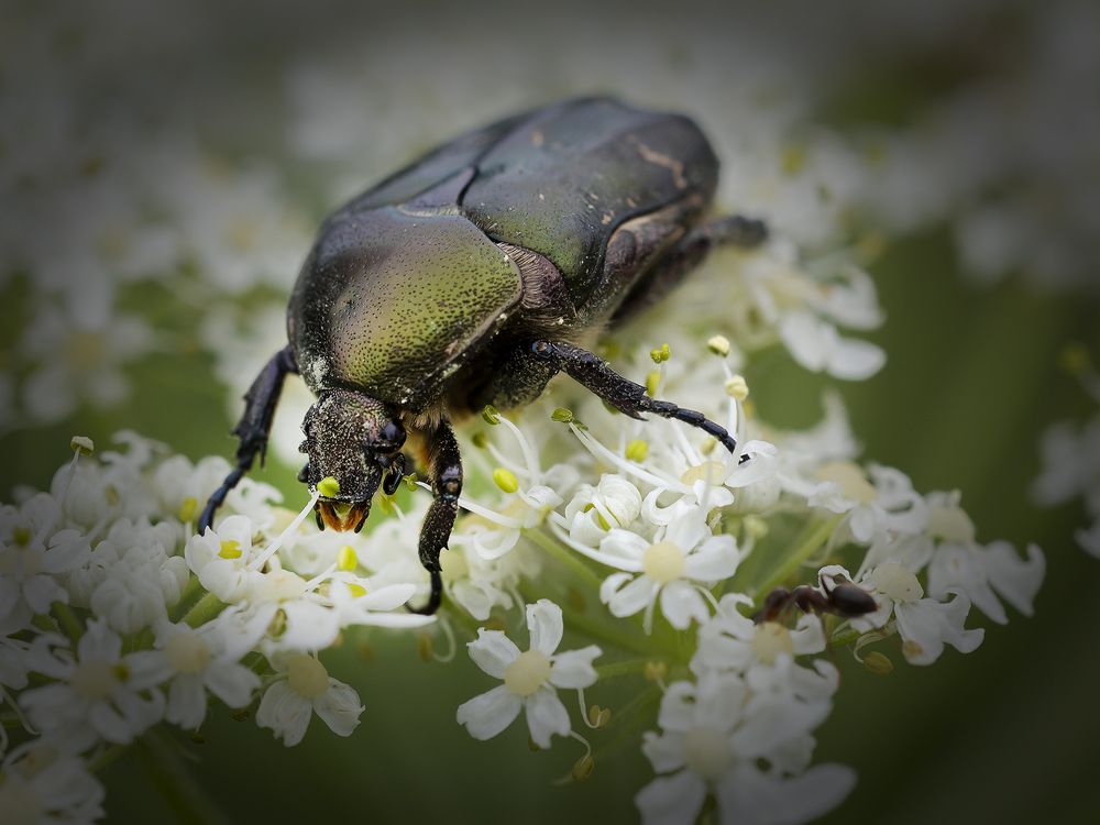 Photograph by Олег Тетерин