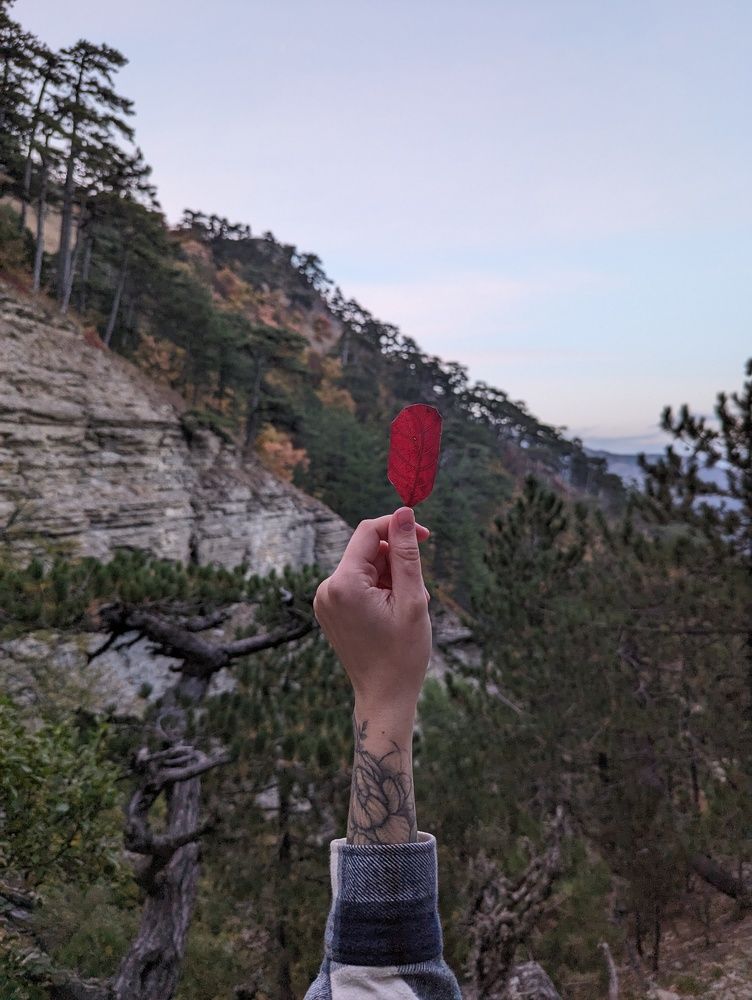 Фотография автора Евгений Петросян