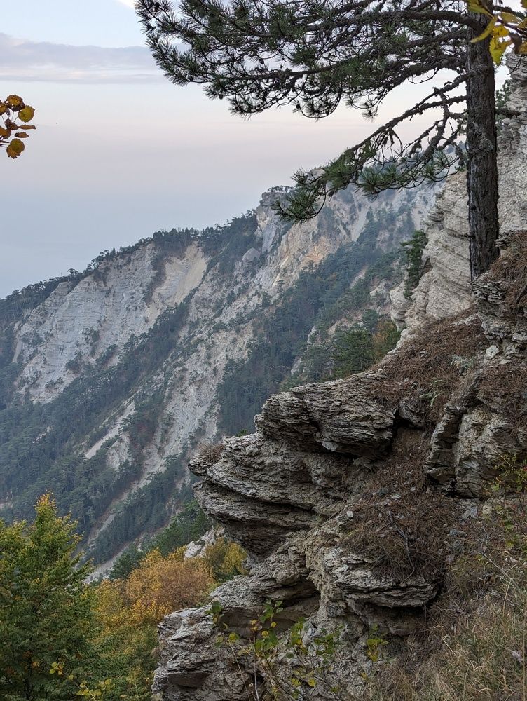 Фотография автора Евгений Петросян