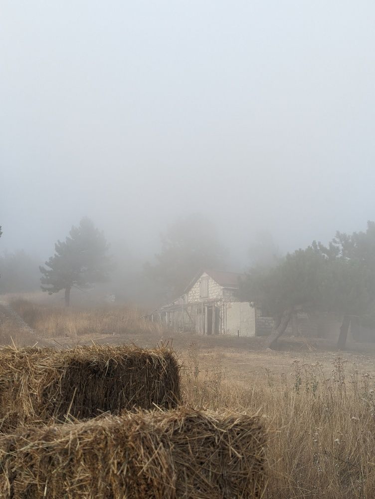 Фотография автора Евгений Петросян