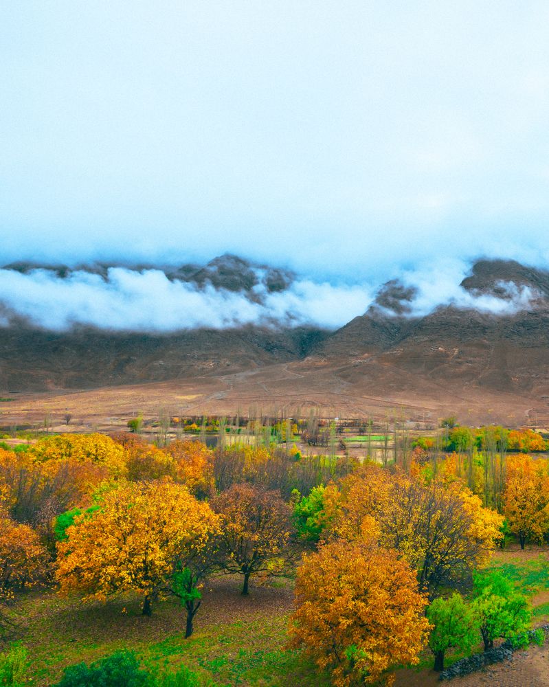 Photograph by Alireza Moghimi