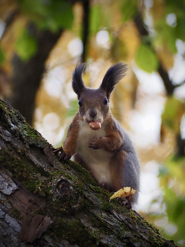 Photograph by Юлия Поршнева