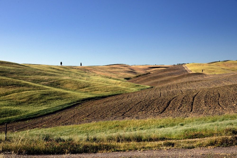 Photograph by Paolo Mola