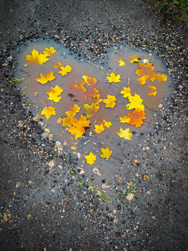 Фотография автора Ирина Гриценко