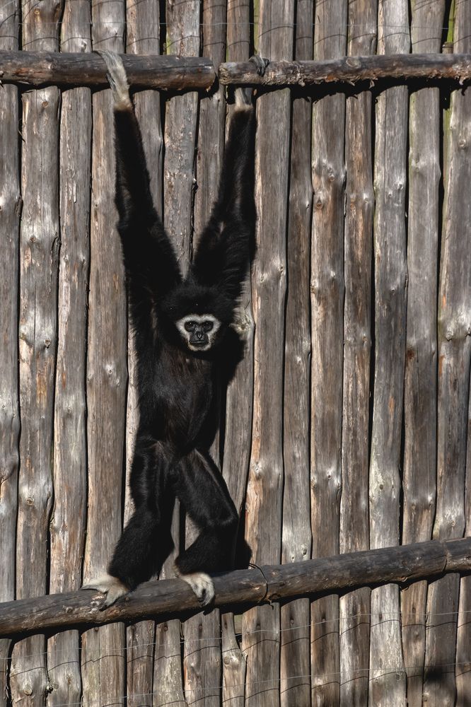 Photograph by Anton Leonchikov