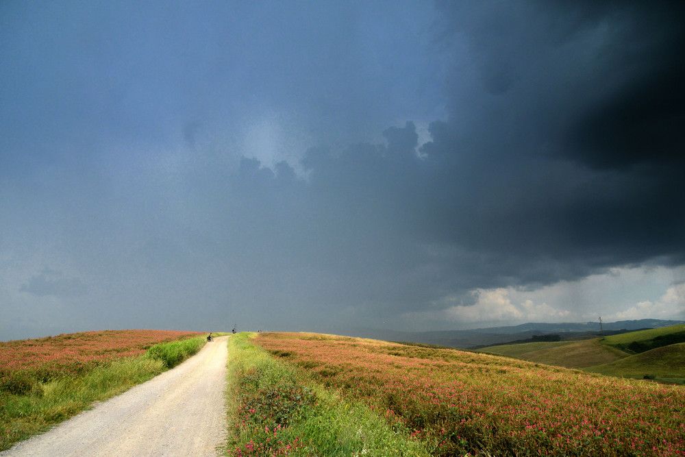 Photograph by Paolo Mola