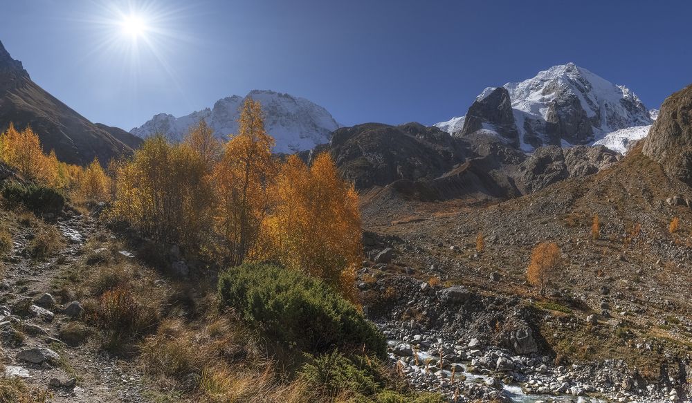 В осеннем свете