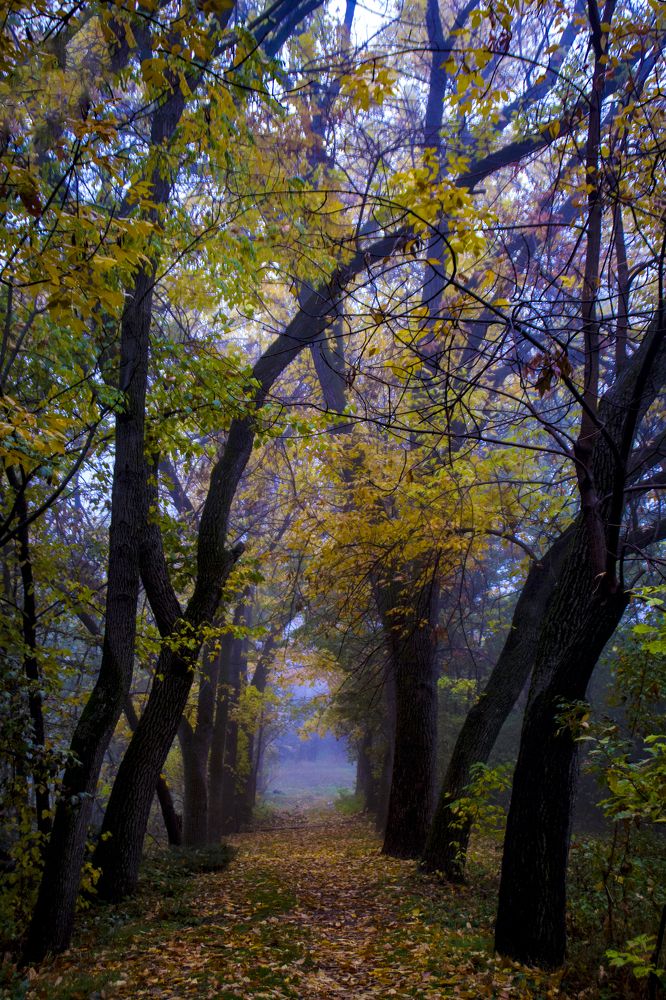 Фотография автора Sose Voskanyan