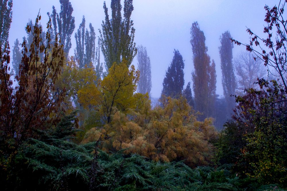 Фотография автора Sose Voskanyan