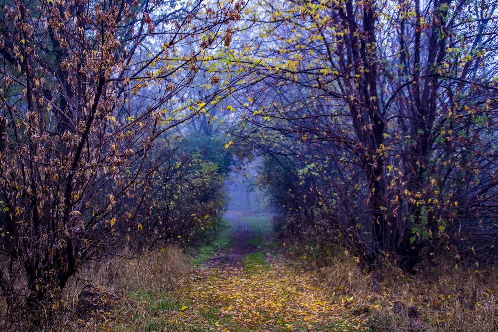 Фотография автора Sose Voskanyan