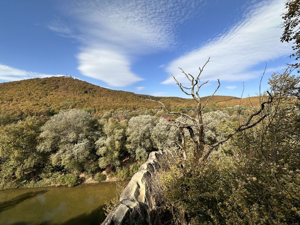 Фотография автора Мария Палтусова