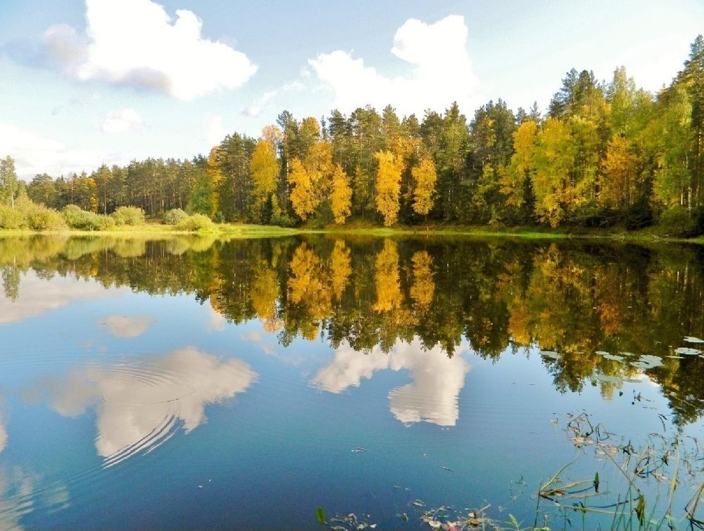 Photograph by Вячеслав Розмин