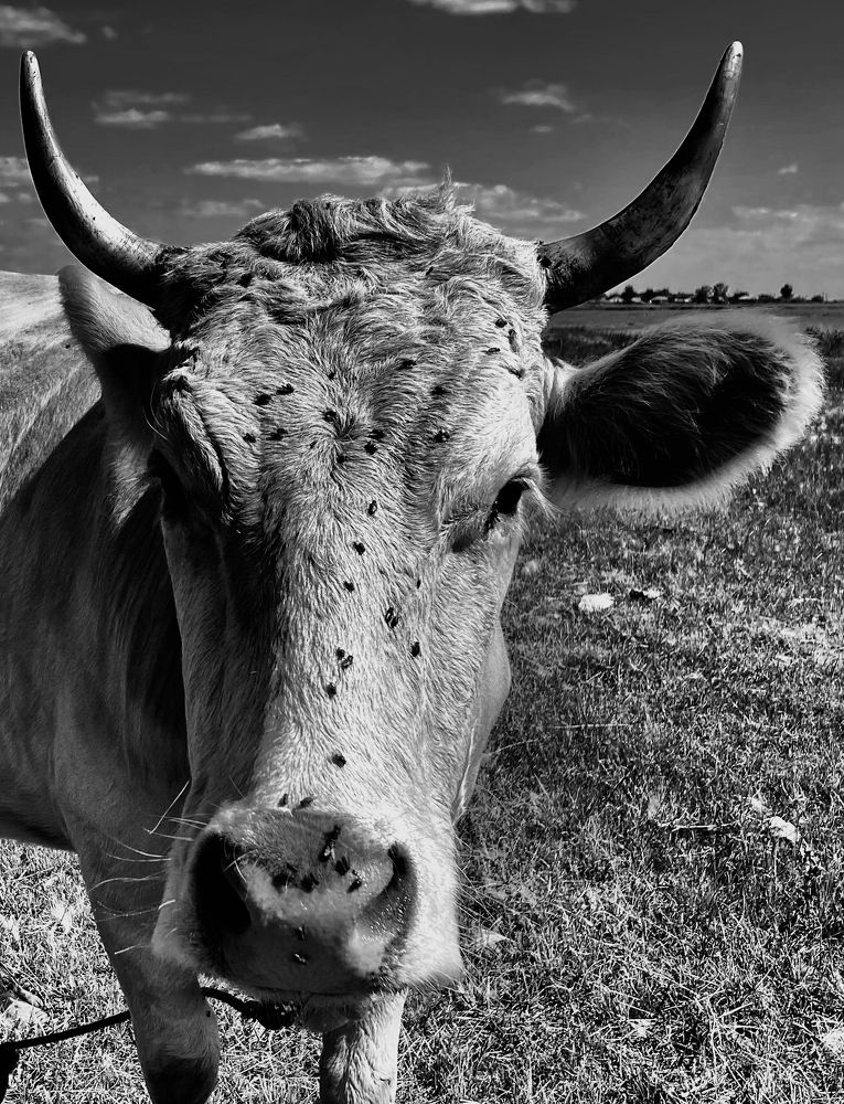 Photograph by Константин