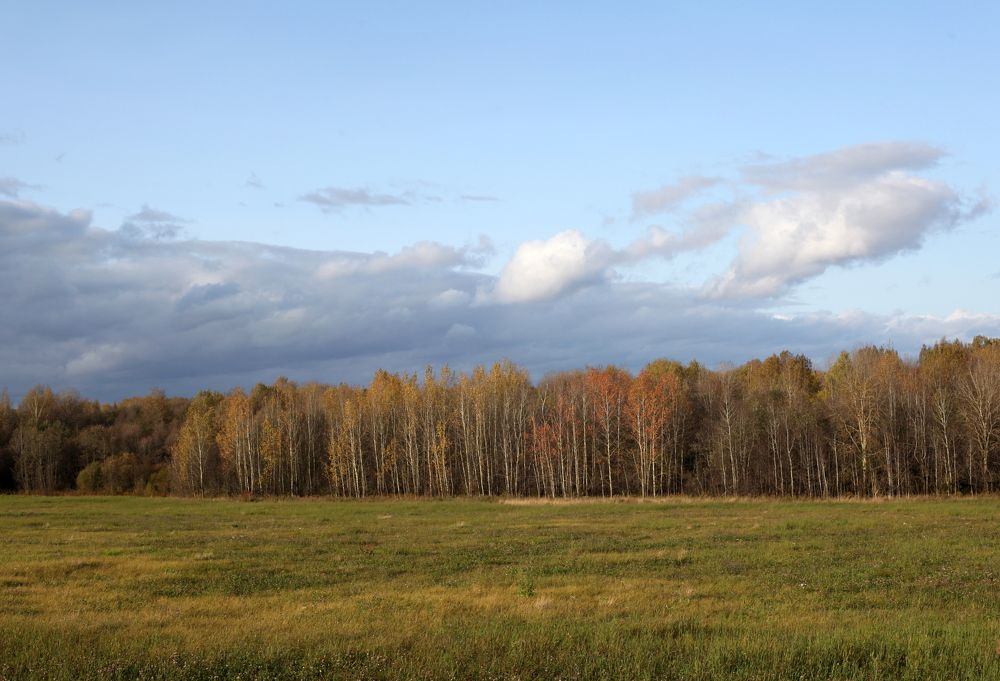 Осенняя свежесть