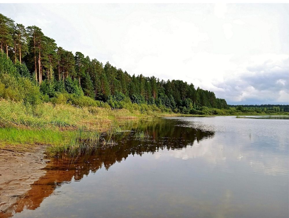 Photograph by Вячеслав Розмин