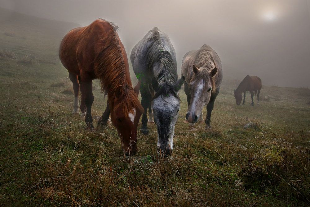 Photograph by Виктор Смирнов