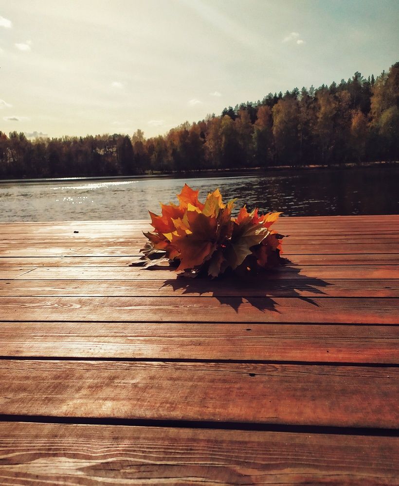 Photograph by Любовь Сухова