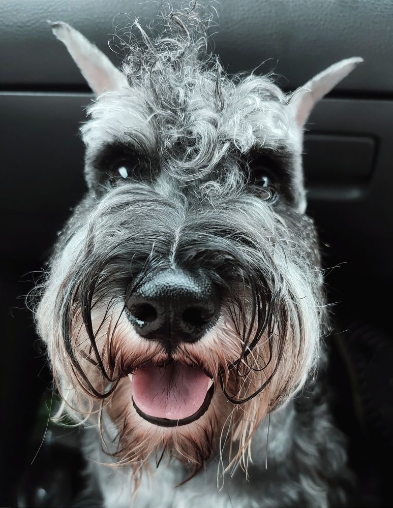 Photograph by Янтарная Елена